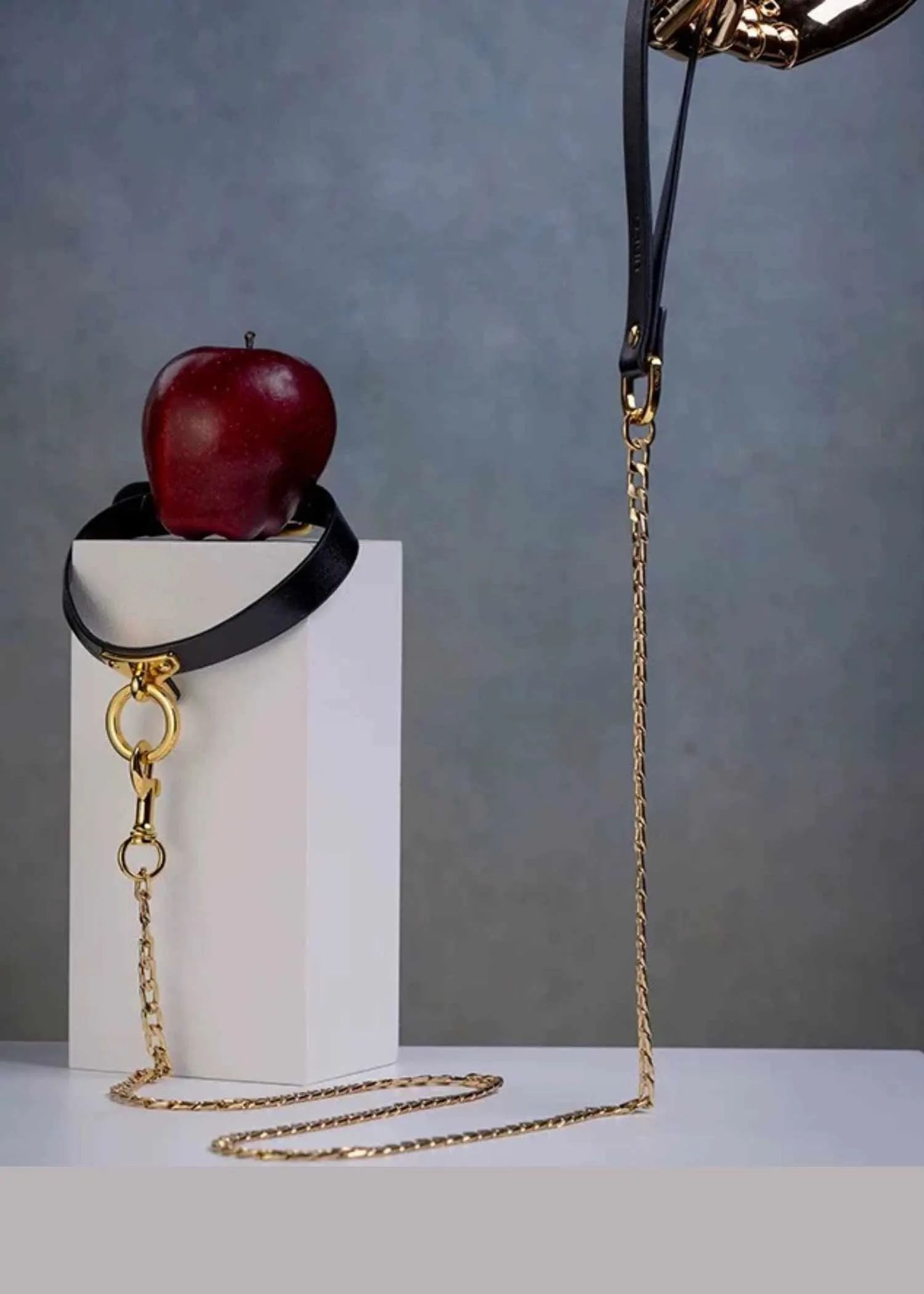 Leather Leash
