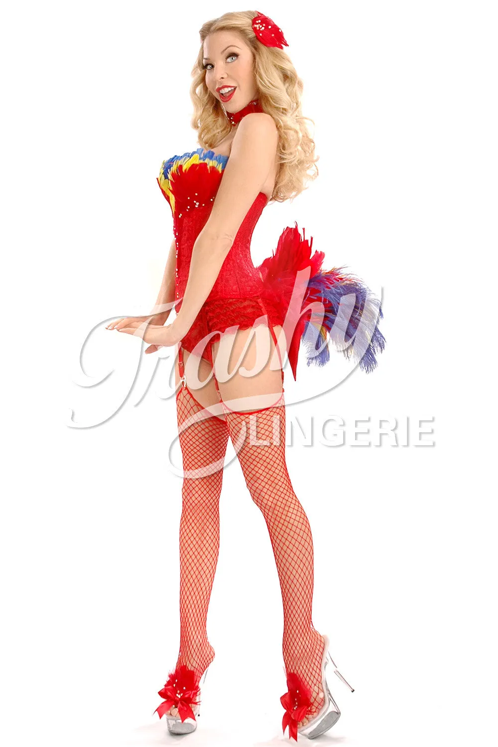 Macaw Corset