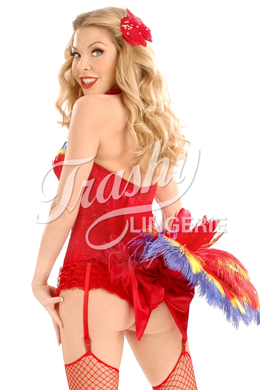 Macaw Corset