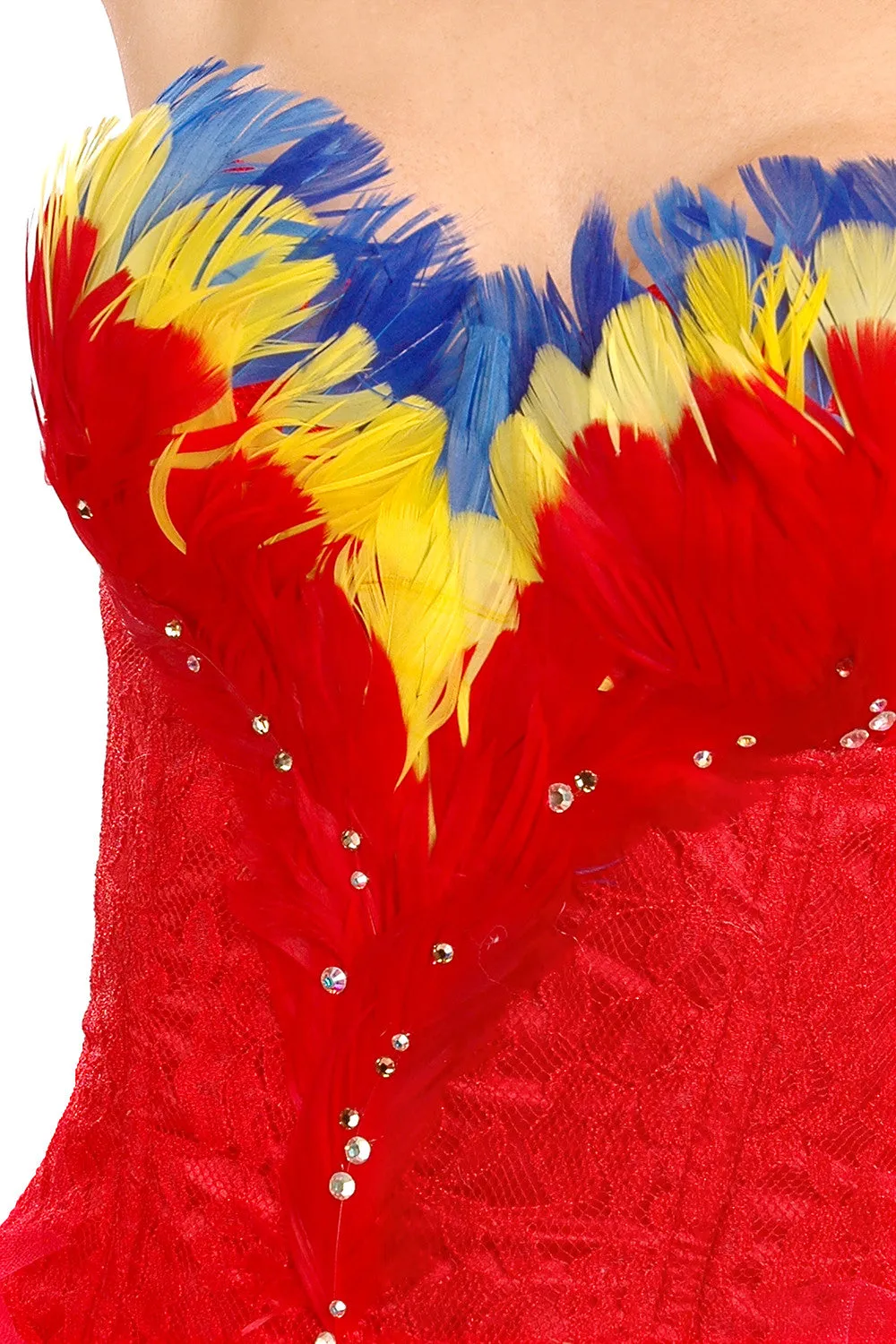 Macaw Corset