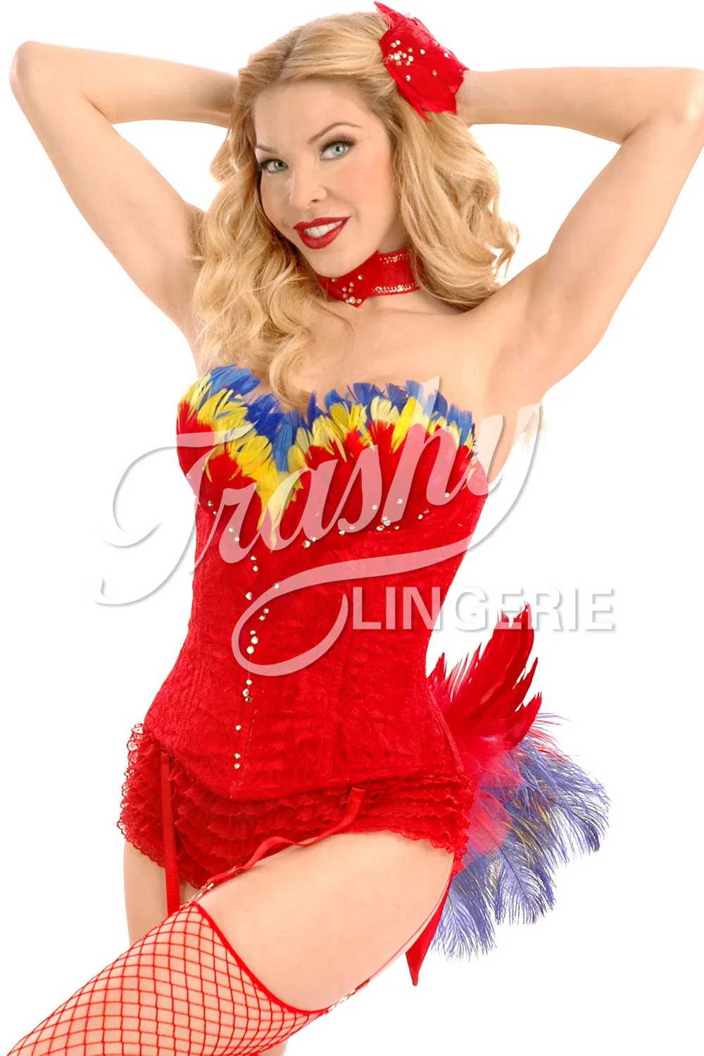 Macaw Corset